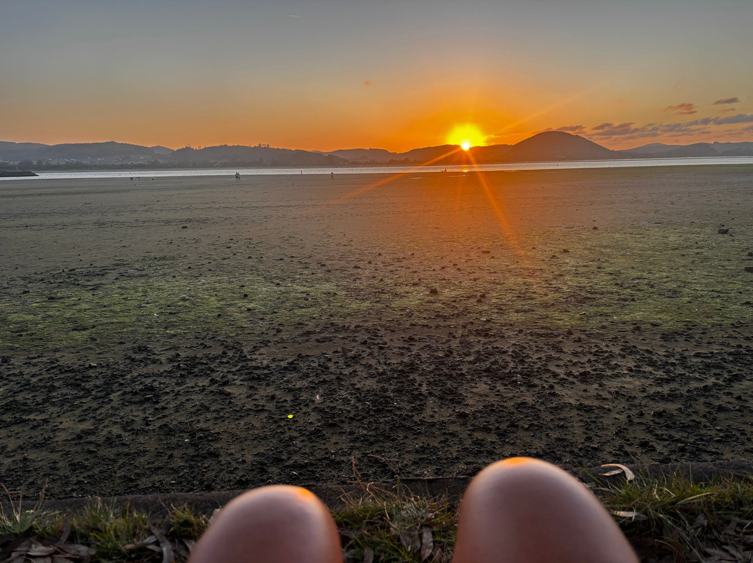 Playa Del Regatón