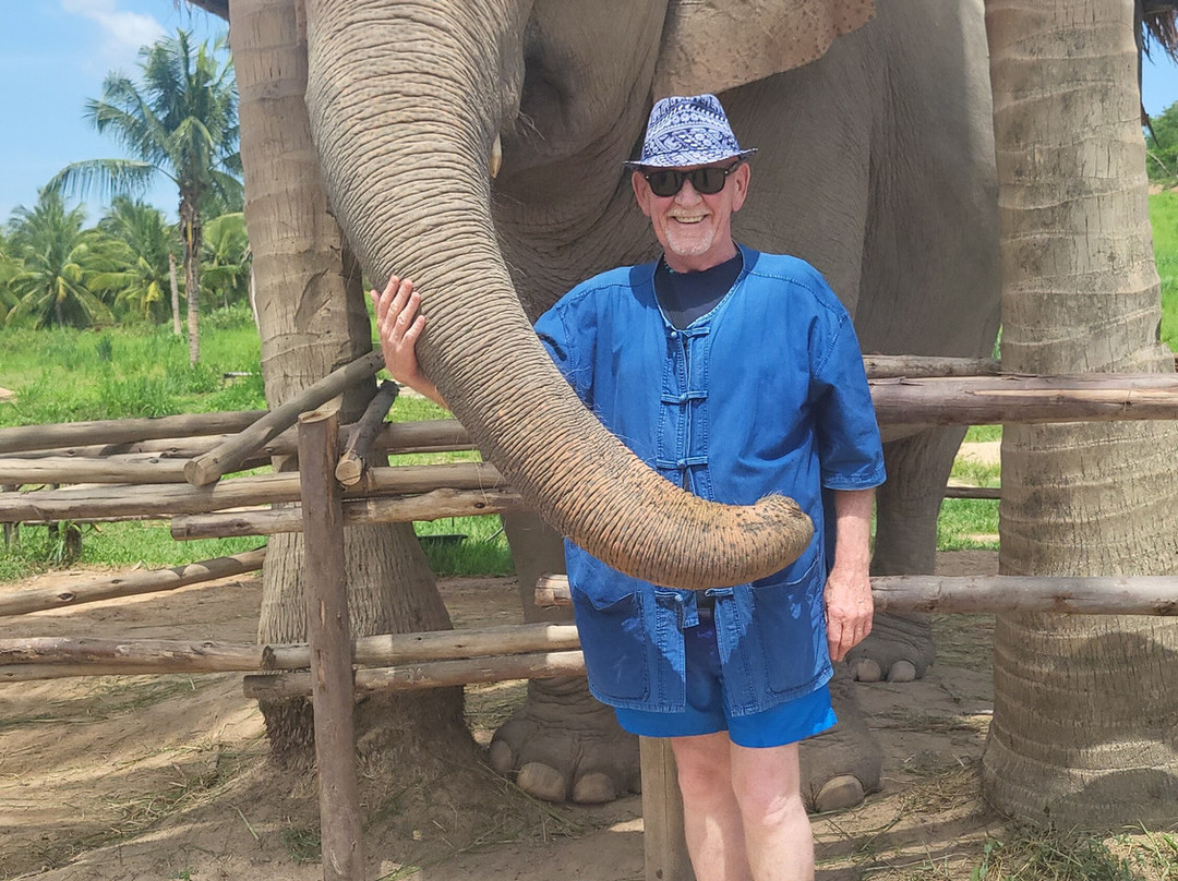Living Green Elephant Sanctuary-清迈必去景点
