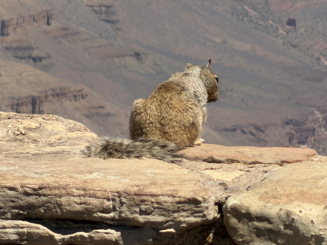 Grand Canyon National Park-大峡谷国家公园必去景点