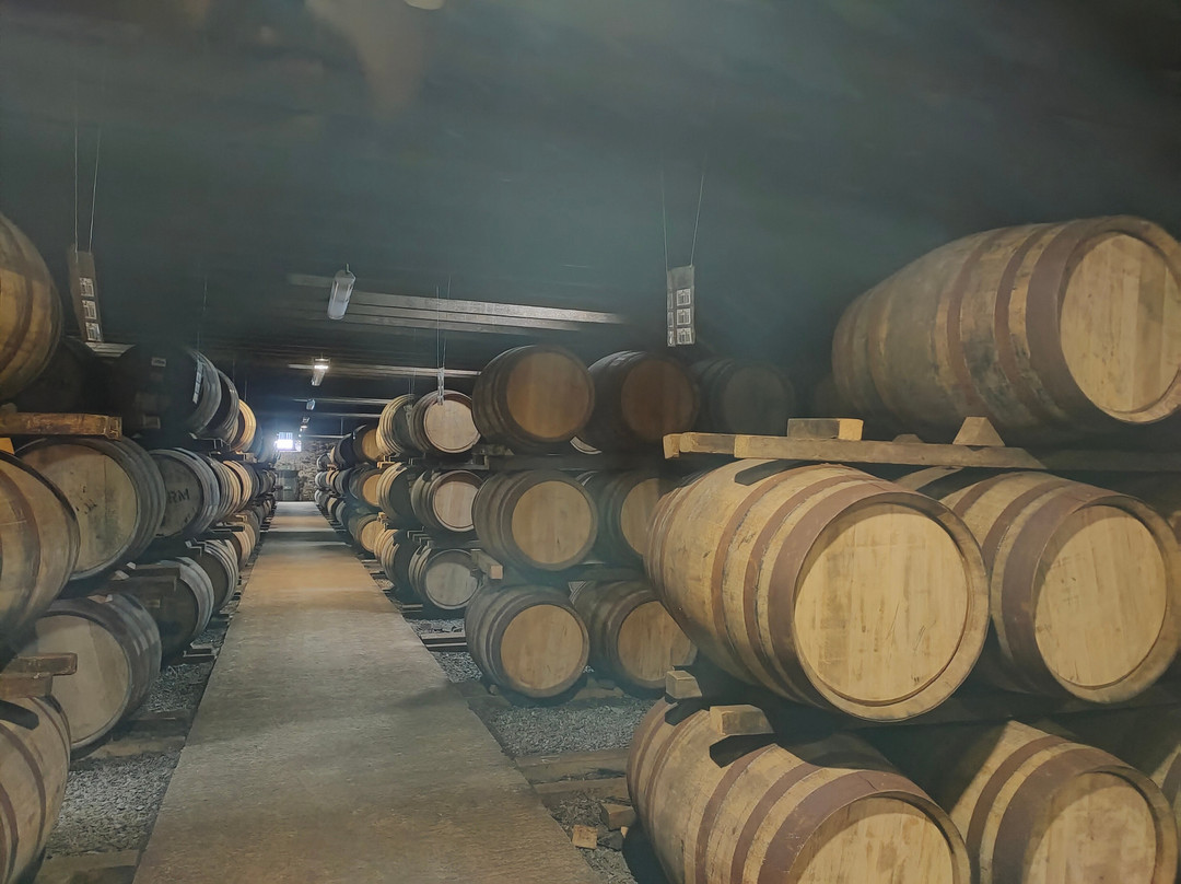 Highland Park Distillery-柯克沃尔必去景点