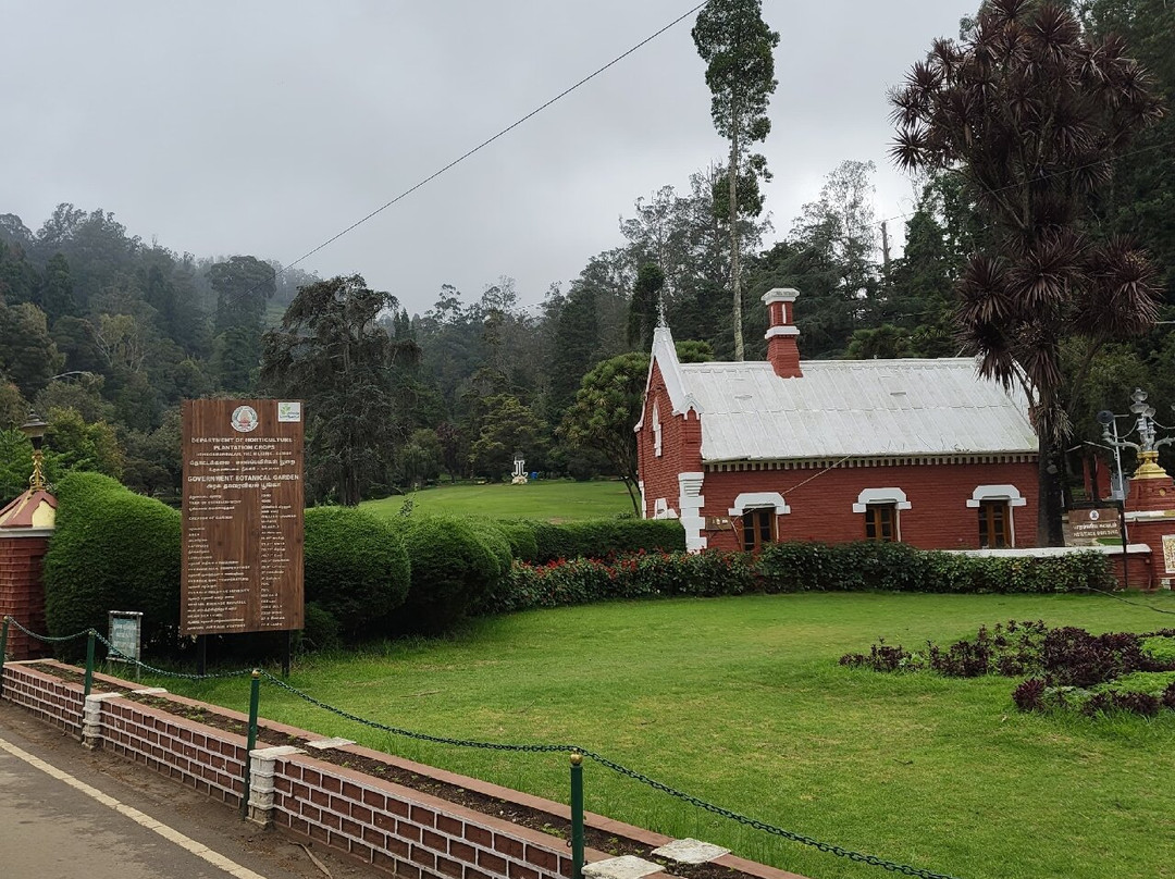 Government Botanical Garden-The Nilgiris District必去景点
