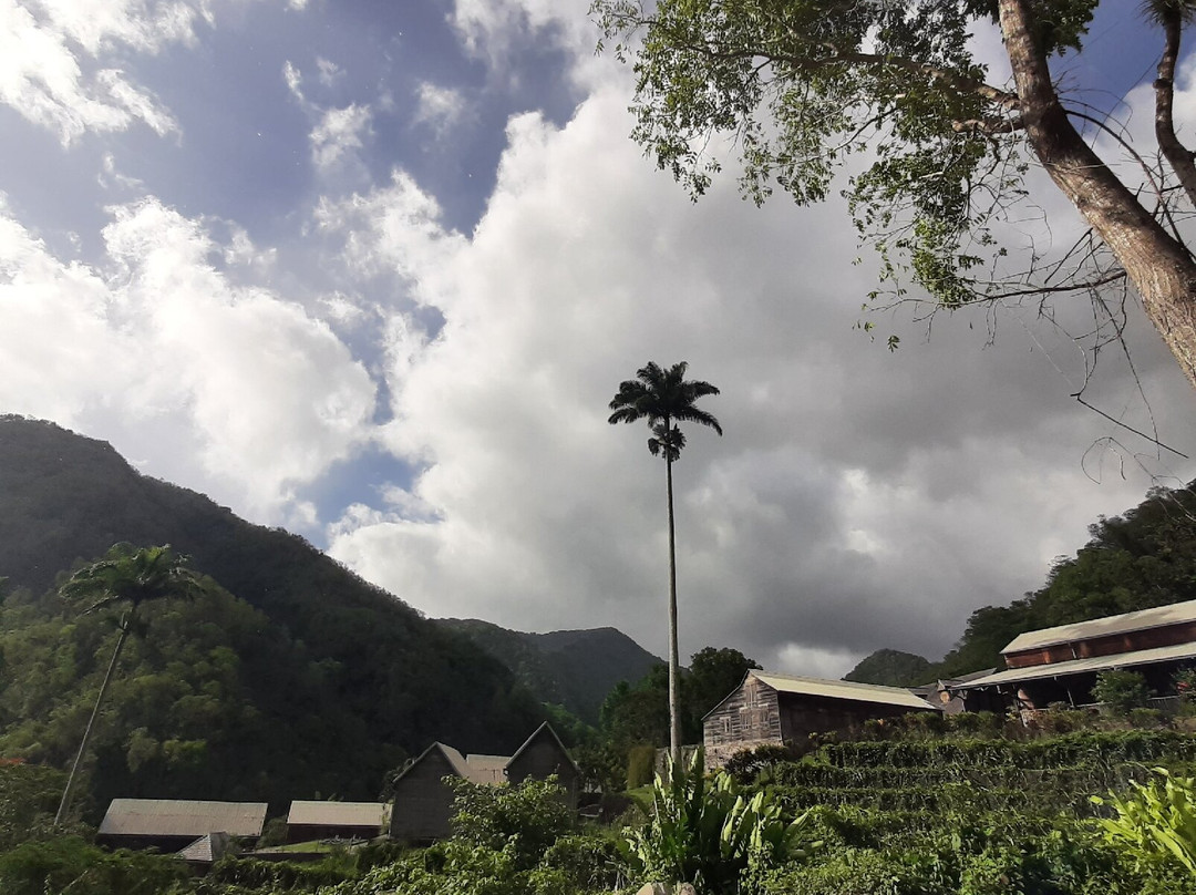 Domaine de l'Habitation la Grivelière-Vieux-Habitants必去景点