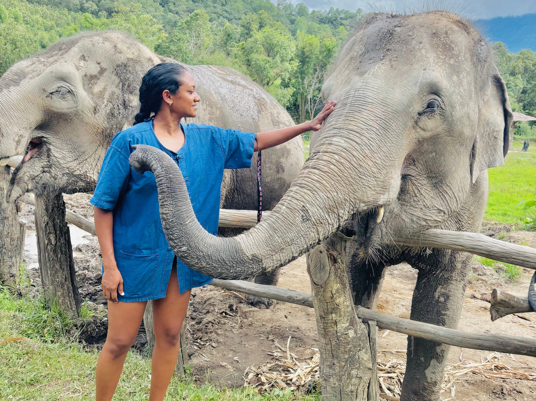 Living Green Elephant Sanctuary-清迈必去景点