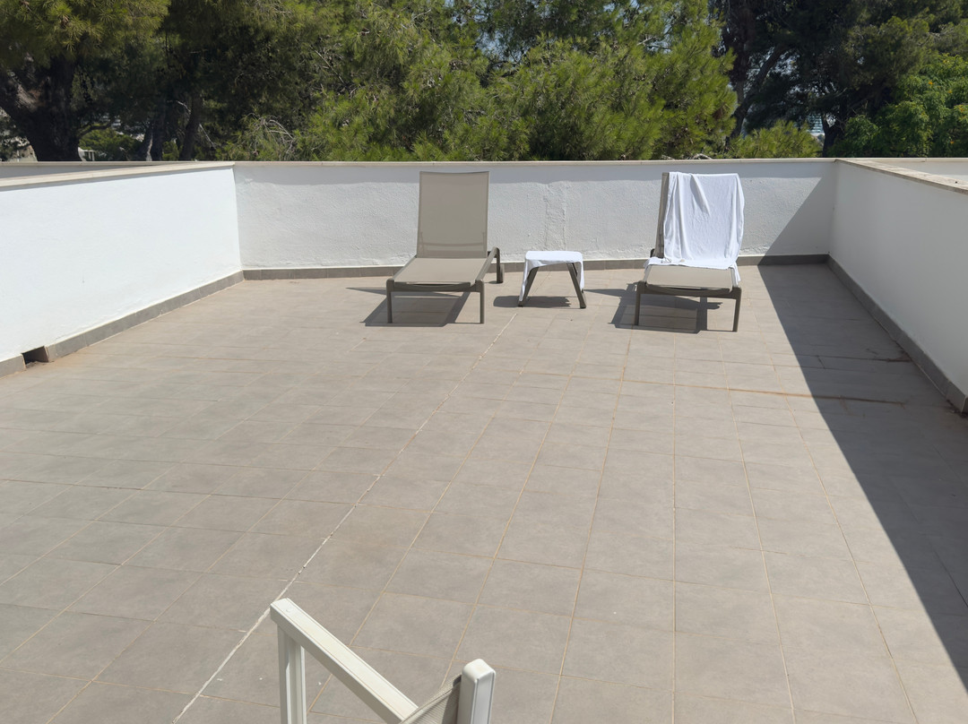 Alua Calvia Mallorca主图