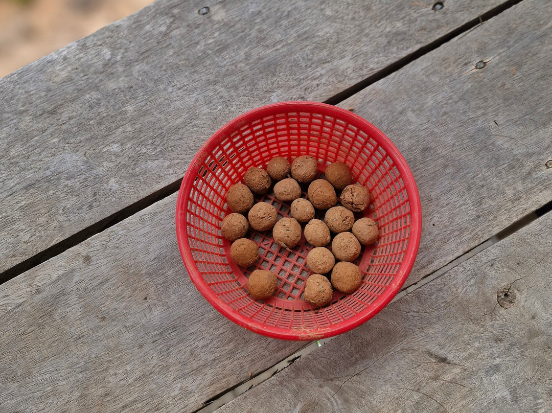 Following Giants - Krabi-Khlong Hin必去景点