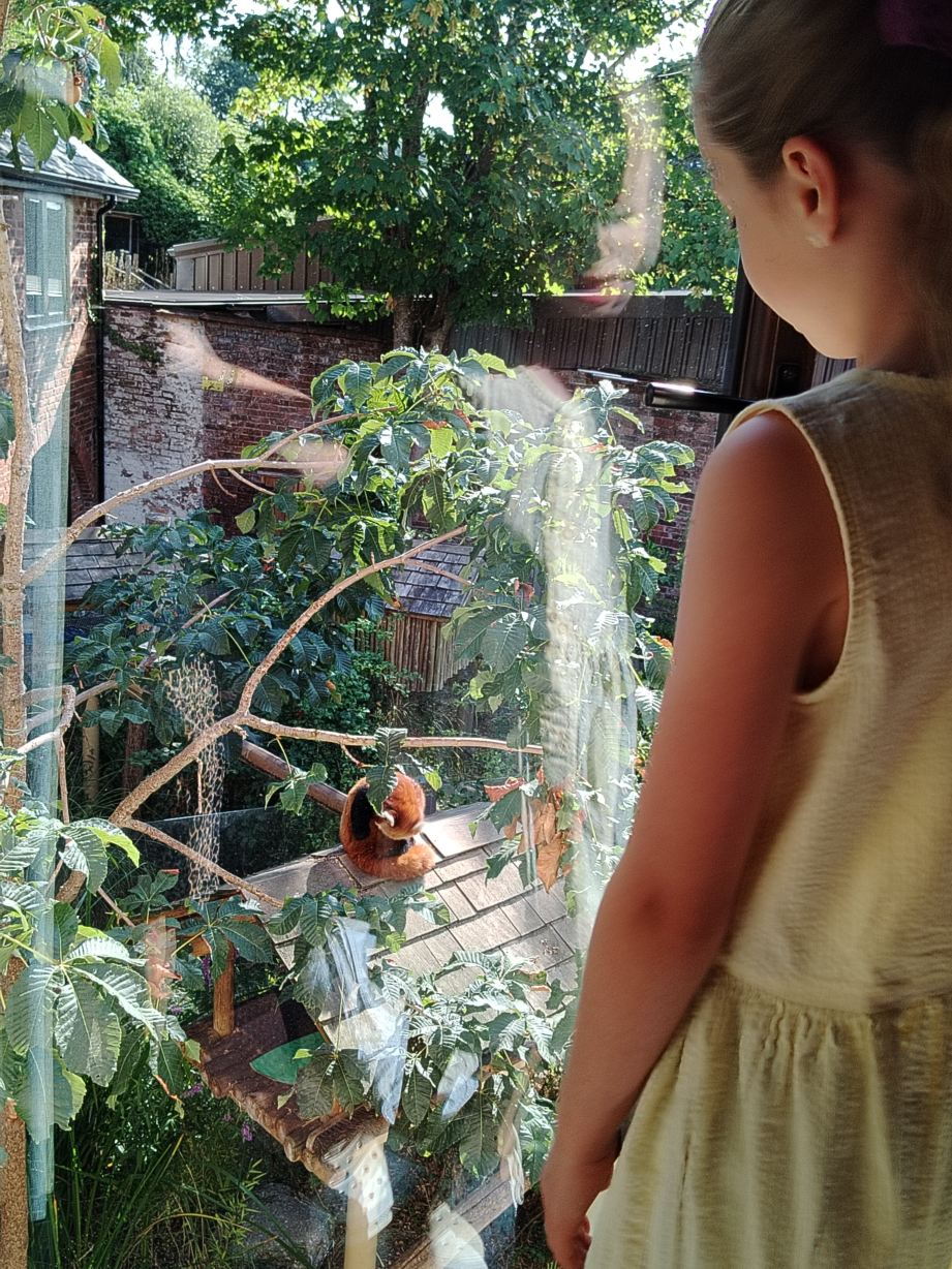 Safari Lodges At West Midlands Safari Park-旅行者