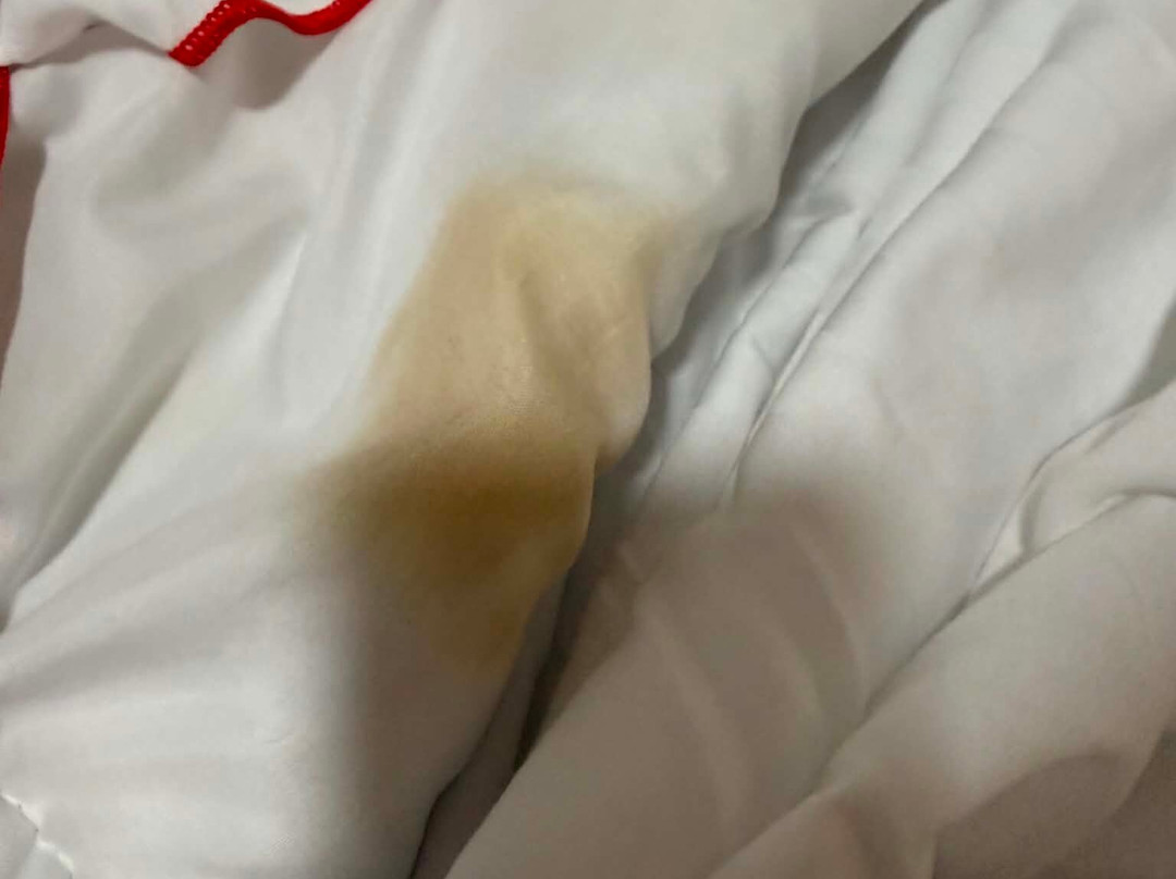灰色海湾酒店主图