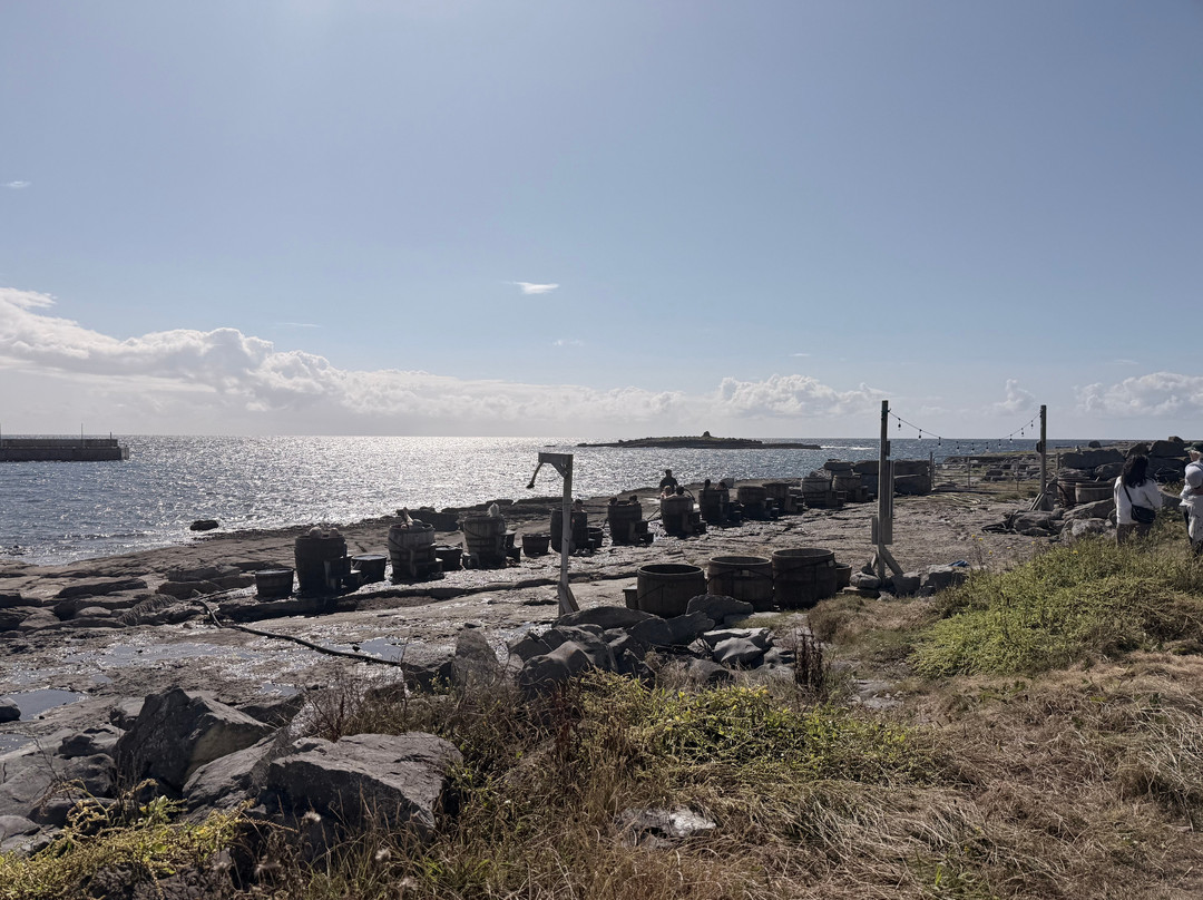 Wild Atlantic Seaweed Baths-Ballaghaline必去景点