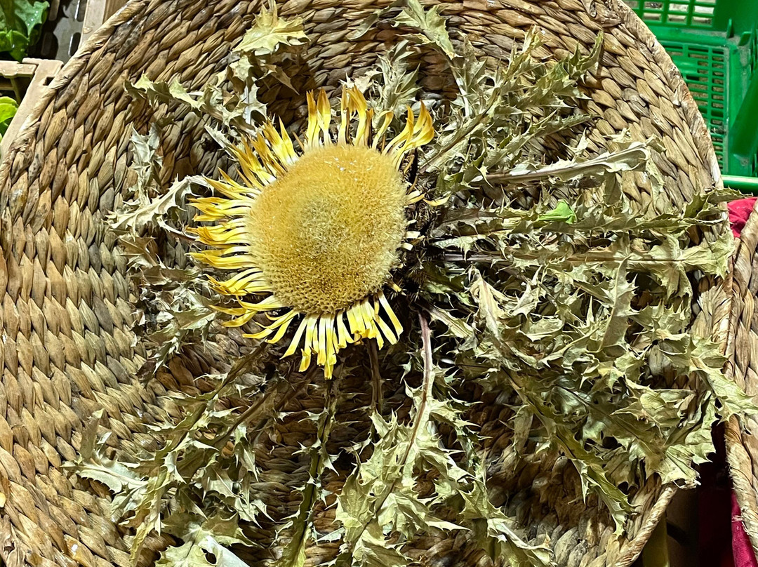 里贝拉市场-毕尔巴鄂必去景点