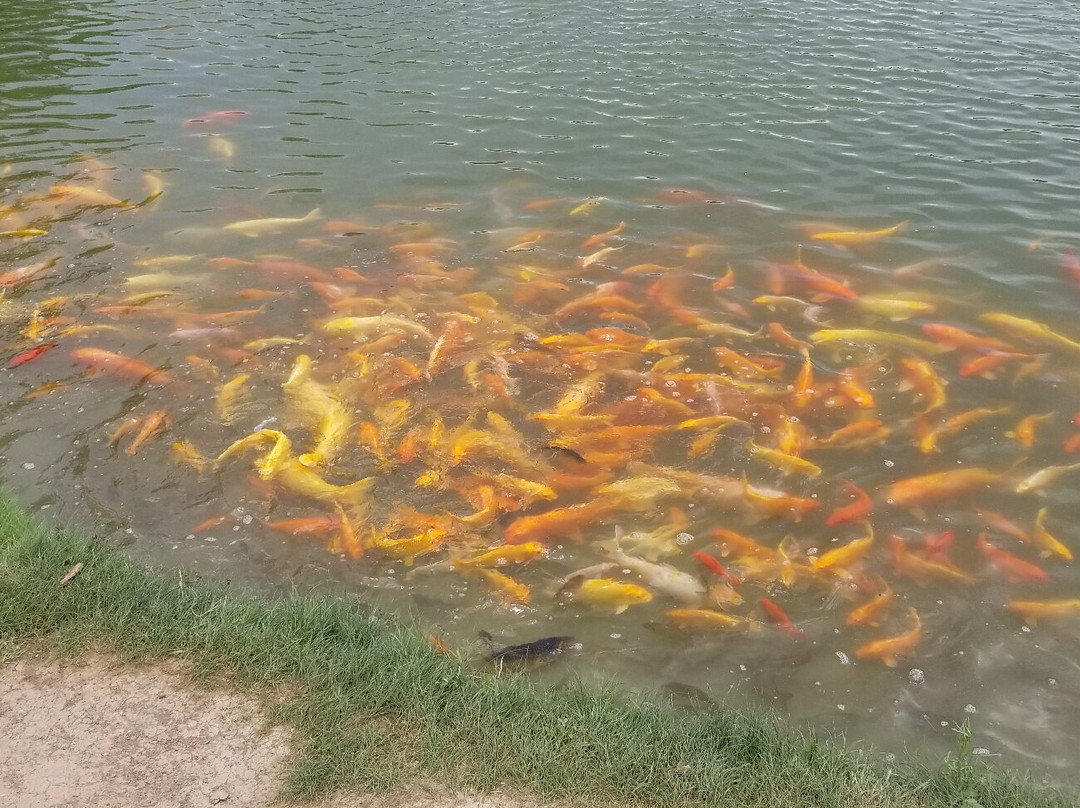 Hot Springs State Park-瑟莫波利斯必去景点