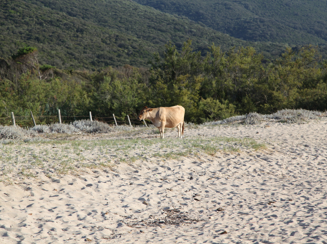 Plage de Portigliolo-Coti-Chiavari必去景点