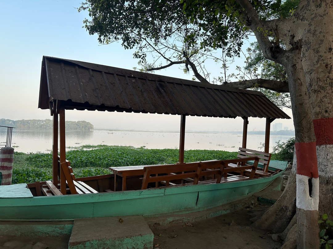 Okhla Bird Sanctuary-诺伊达必去景点