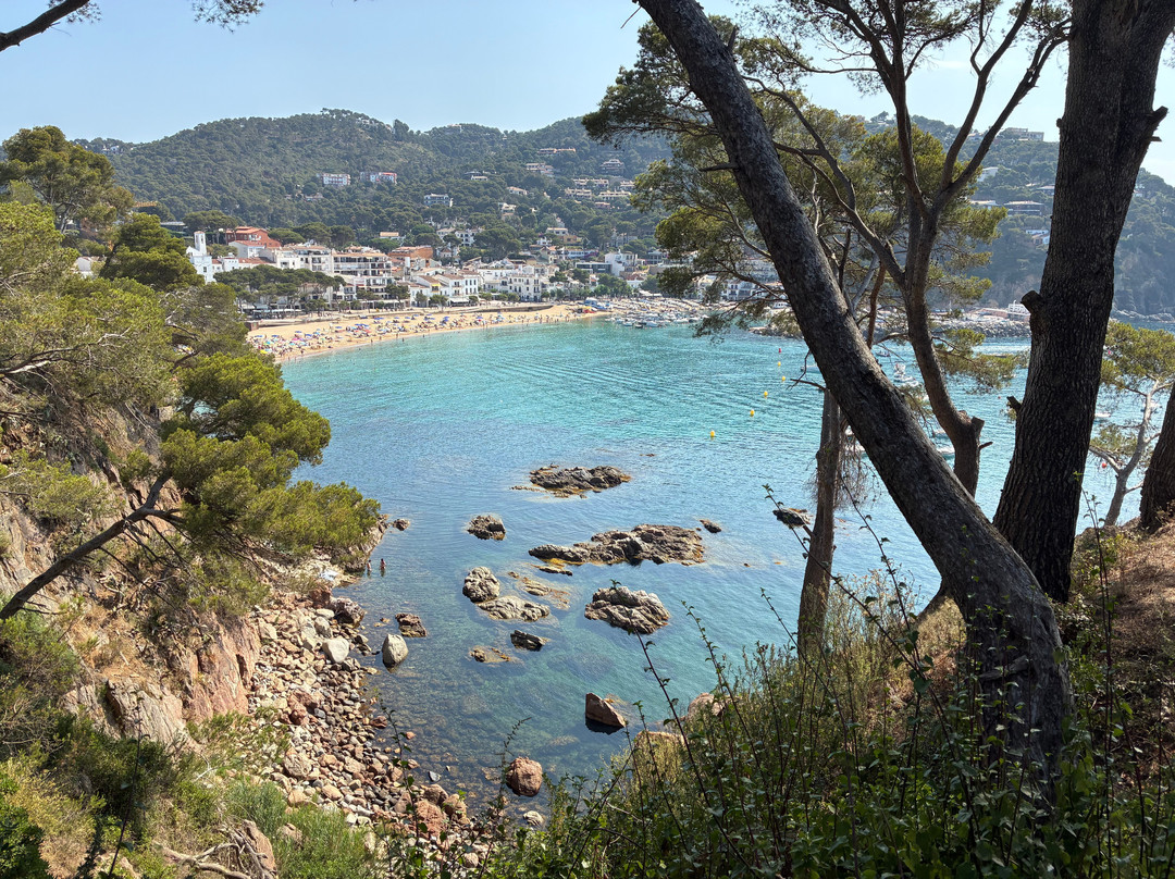 Playa De Llafranc