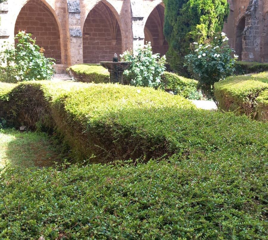 Monasterio De Piedra主图