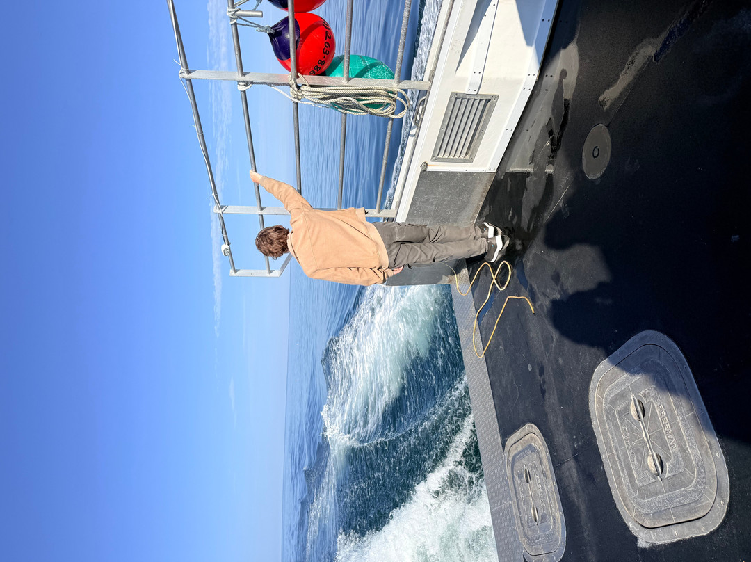 Cutler Harbor Tours-Cutler必去景点
