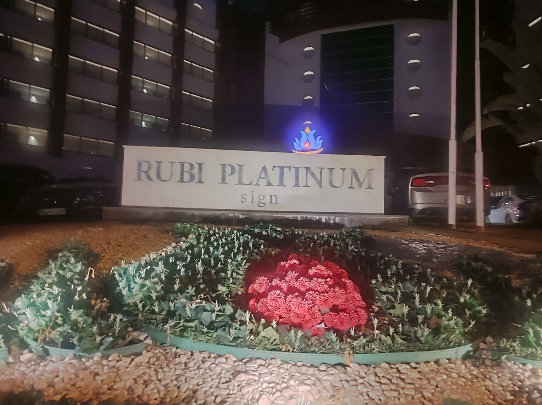 Rubi Platinum Sign主图