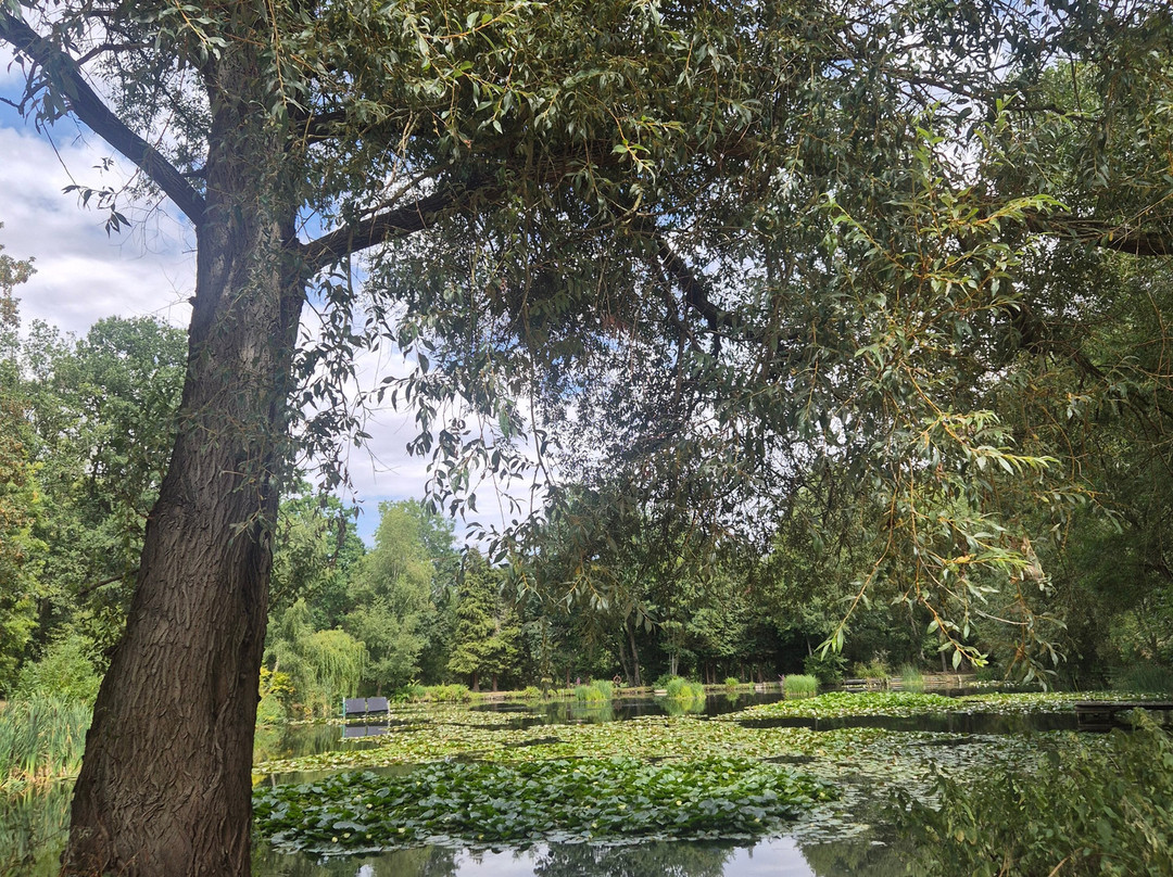 The Gardens of Easton Lodge-Great Dunmow必去景点