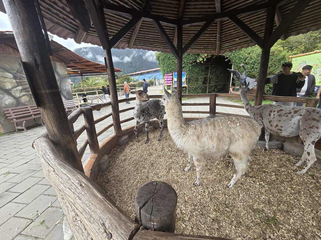 AnimalPark-巴尼奥斯必去景点