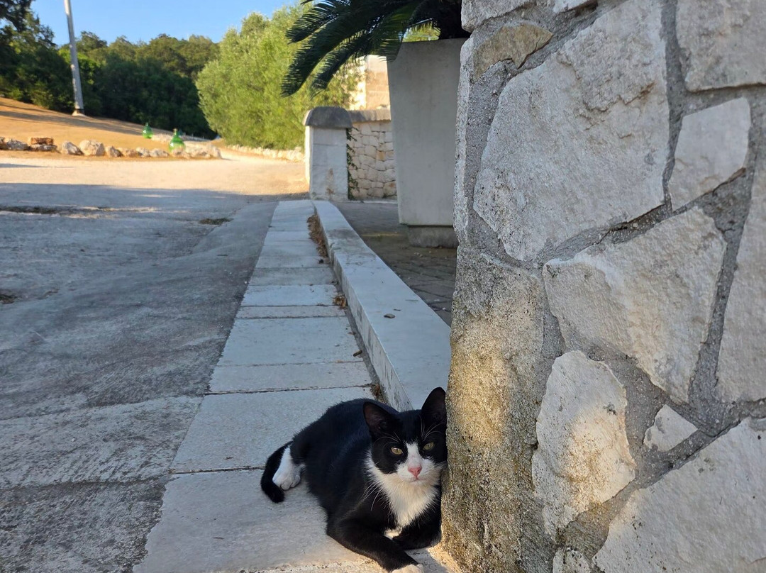 Masseria Paretano Restaurant