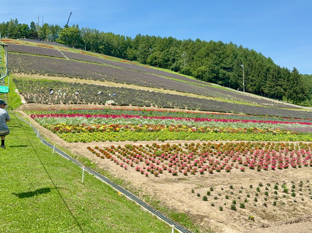 Nakafurano Flower Park-中富良野町必去景点
