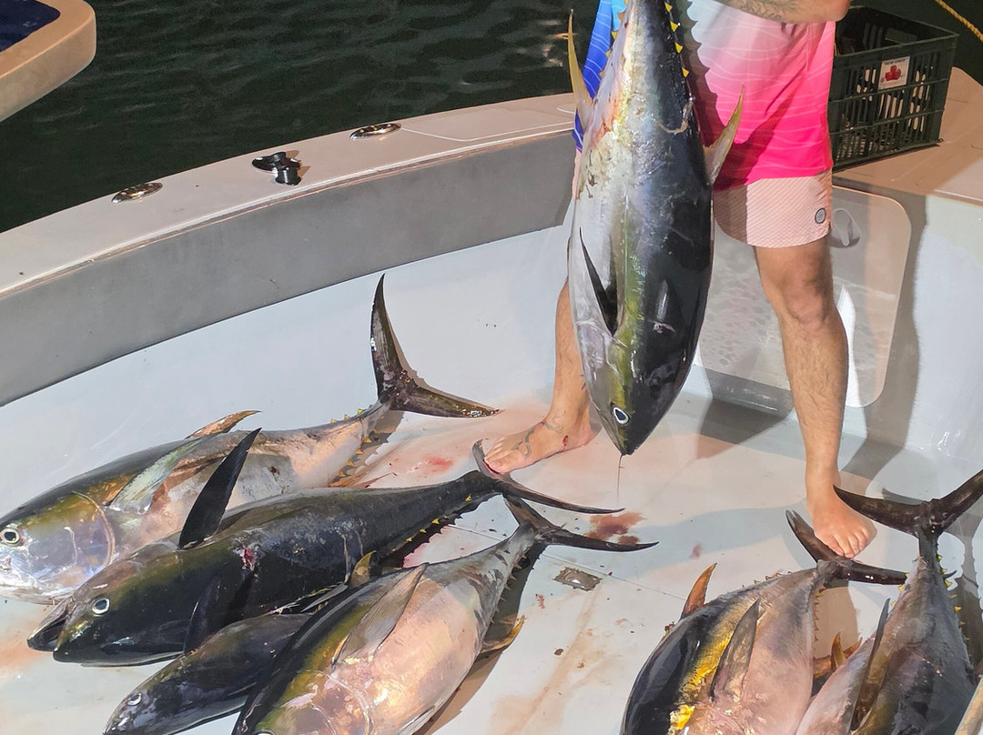 Game Fisher Maldives-Dharavandhoo必去景点