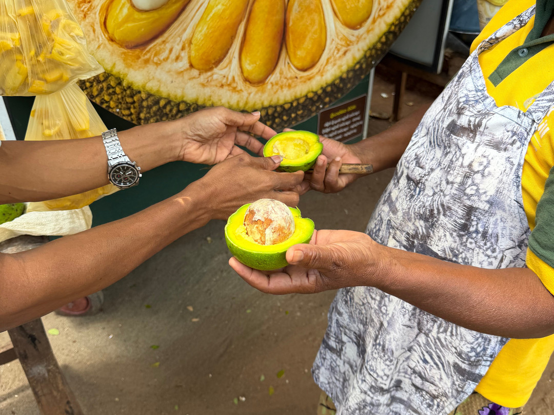 Ceylon Safari Holiday-Ratmalana必去景点