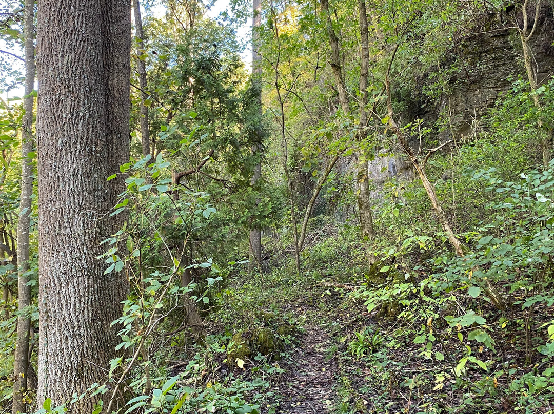 The Highlands Nature Sanctuary-Bainbridge - Ross County必去景点