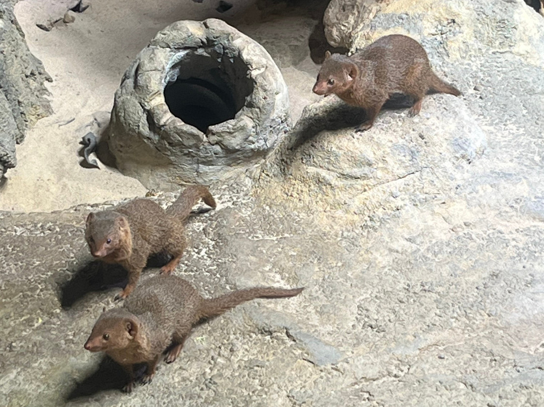 AQUATIS Aquarium Vivarium Lausanne-洛桑必去景点