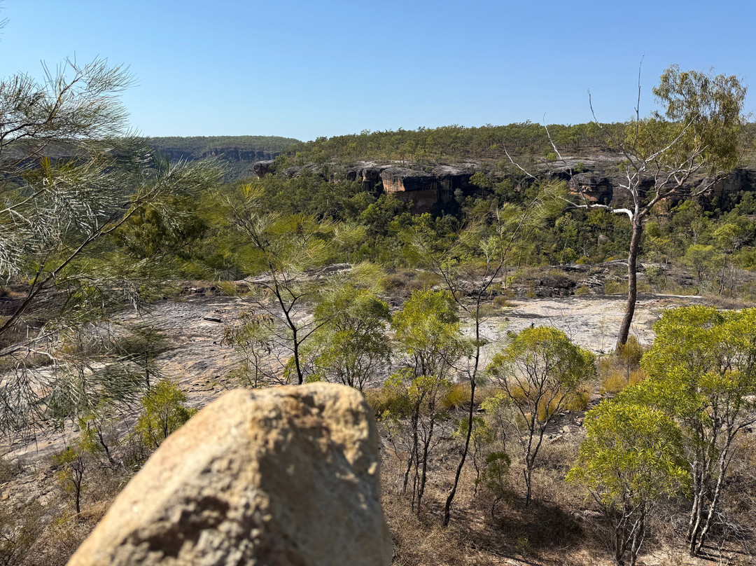 Jarramali Rock Art Tours-凯恩斯必去景点