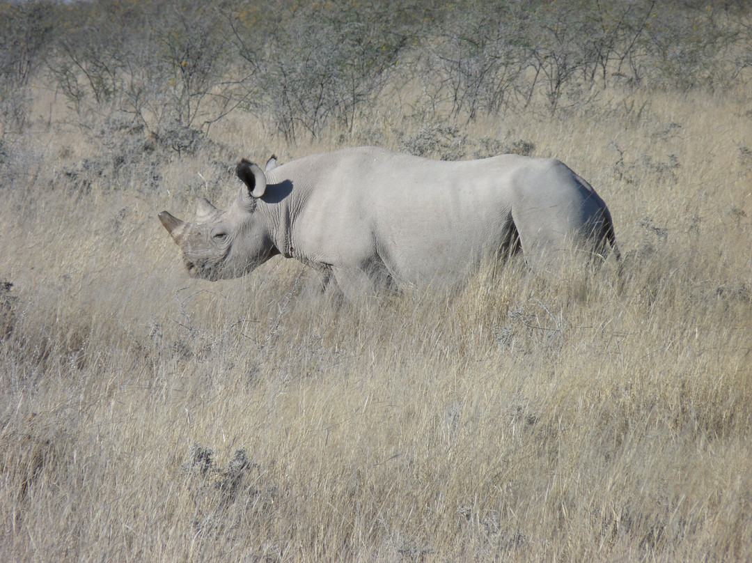 Namibia Tours & Safaris-斯瓦科普蒙德必去景点