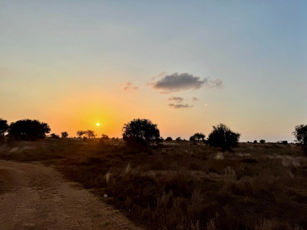 Perfect Safaris Africa-内罗毕必去景点