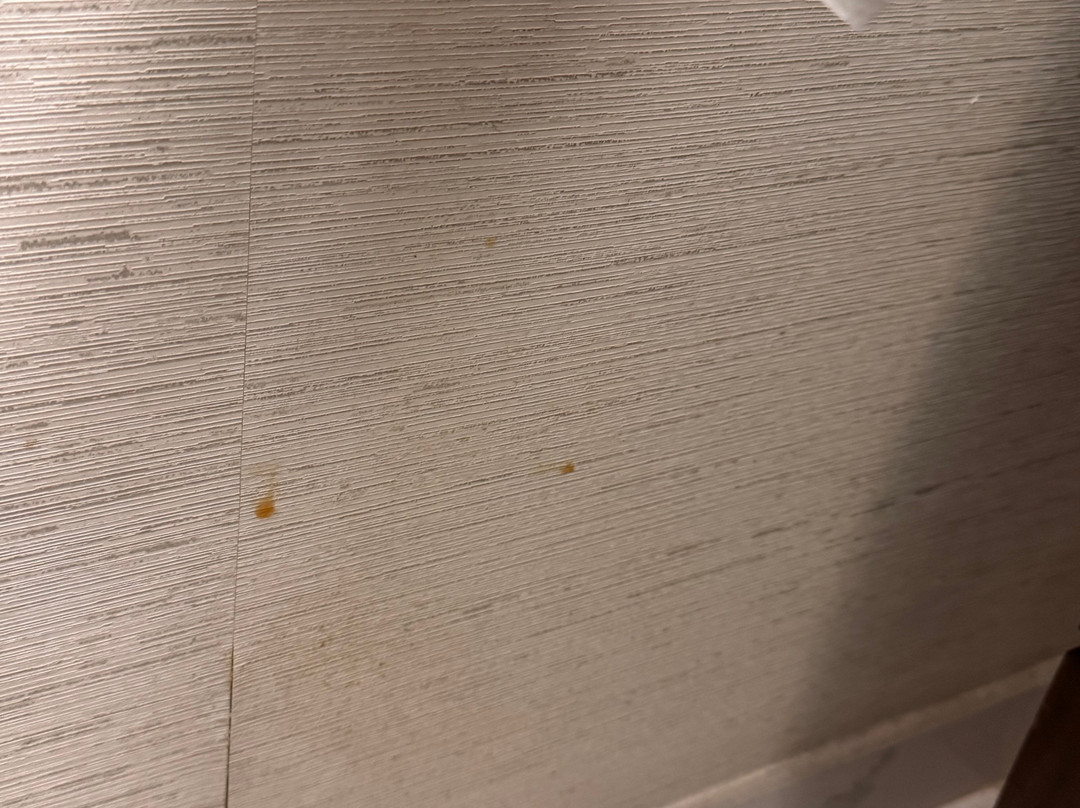 波士顿/达哈姆希尔顿酒店主图