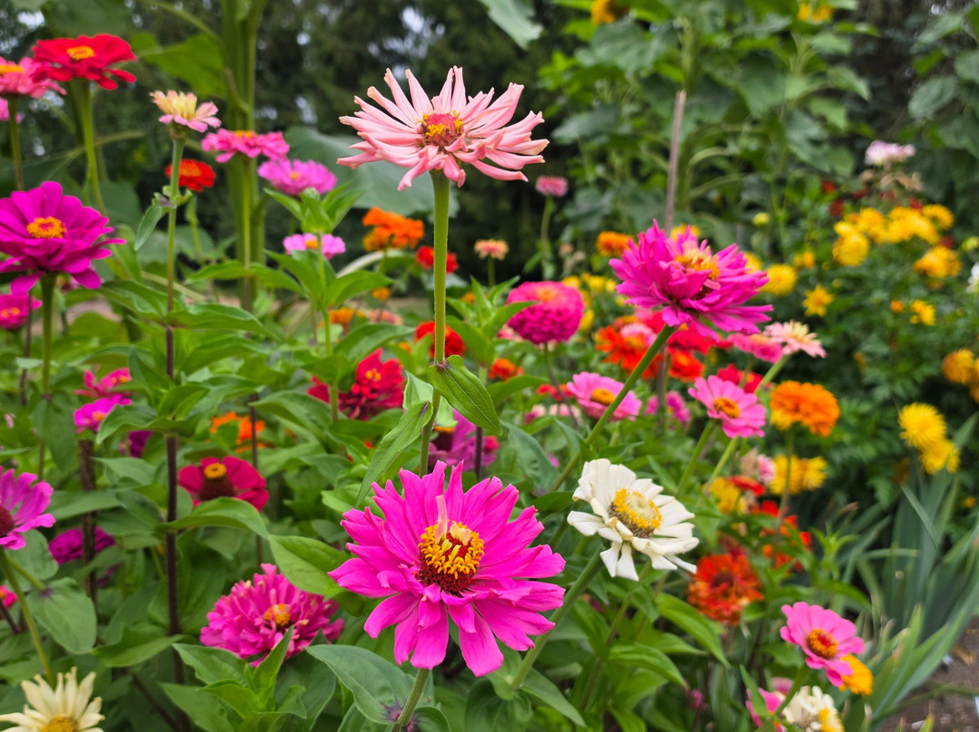 Highline SeaTac Botanical Gardens-西塔科必去景点