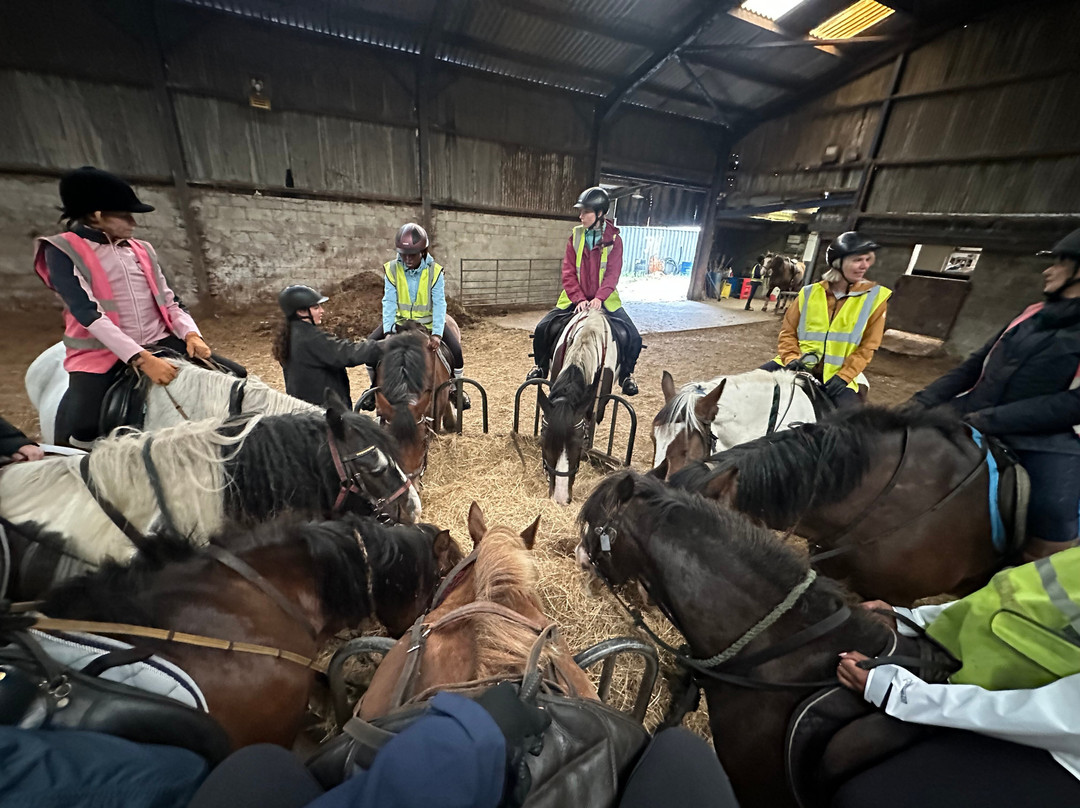 Northfield Farm Horse Riding and Trekking Centre-巴克斯顿必去景点