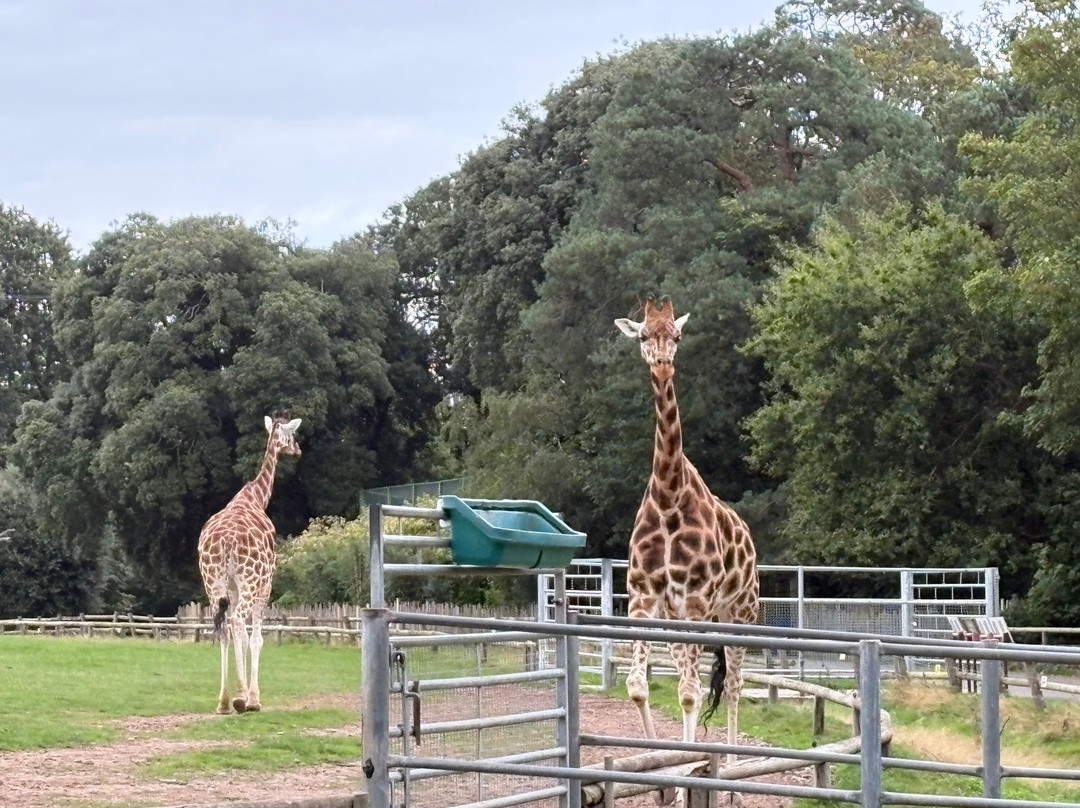 Fota Wildlife Park-Carrigtwohill必去景点