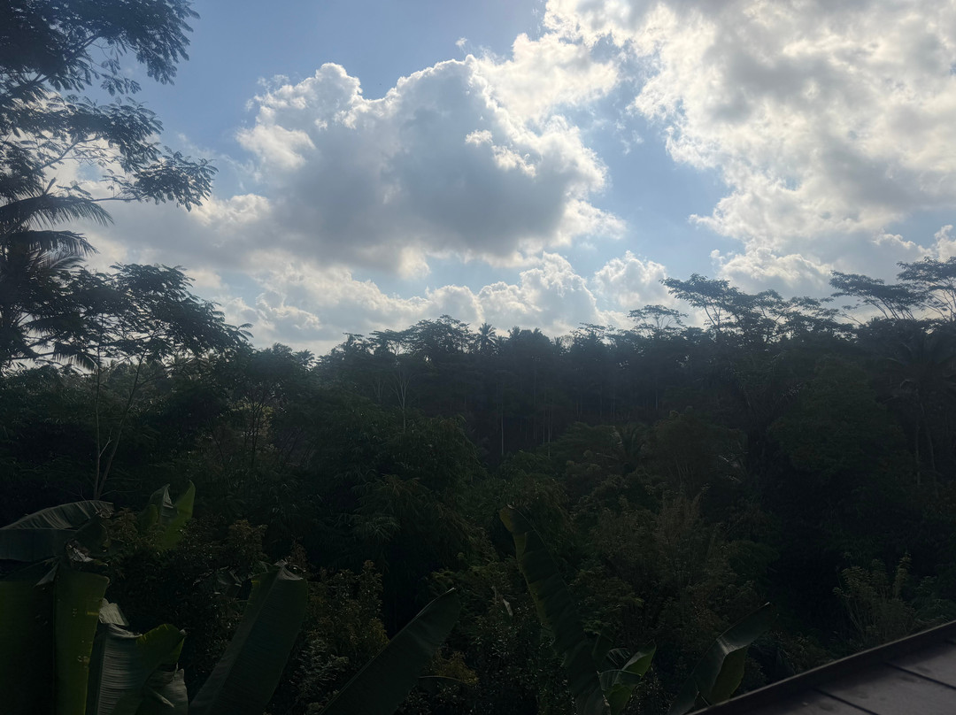 Pemulan Bali Coffee Plantation