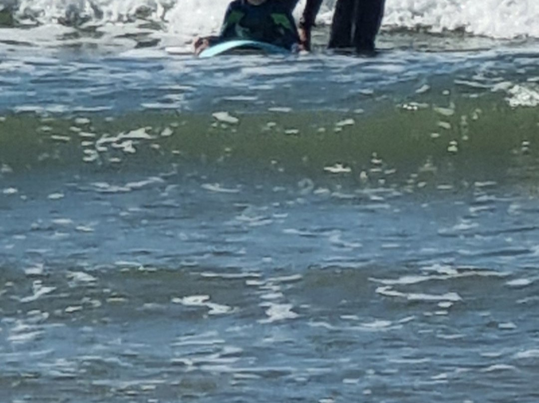 The Wheelie Good Surfschool