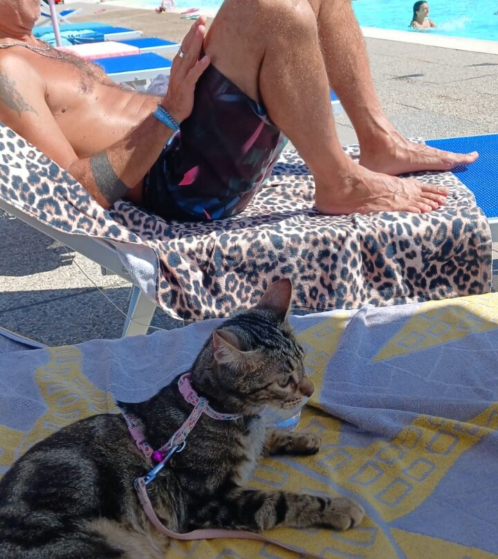 Camping Village Baia del Marinaio主图