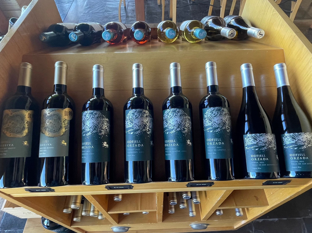 Odfjell Vineyards-Padre Hurtado必去景点