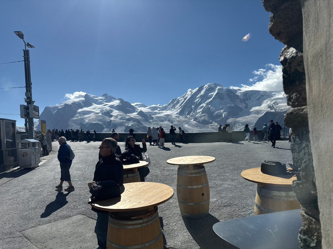 Tiger Bowl