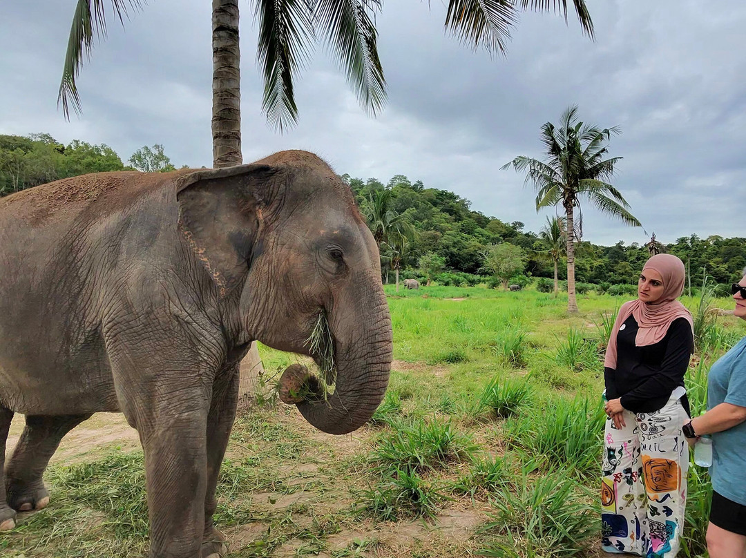 Pattaya Elephant Sanctuary-Bang Sare必去景点