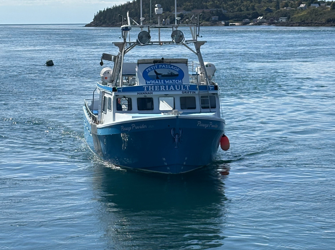 Petit Pasage Whale Watch-East Ferry必去景点