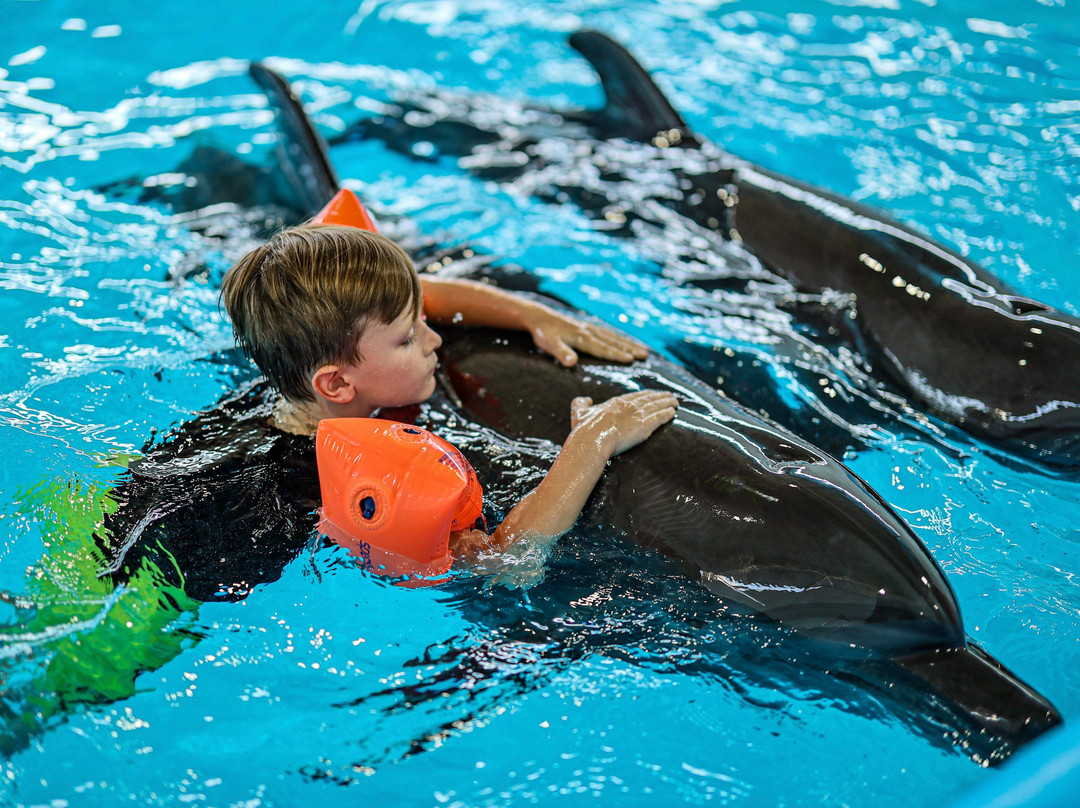 Pattaya Dolphinarium-芭堤雅必去景点