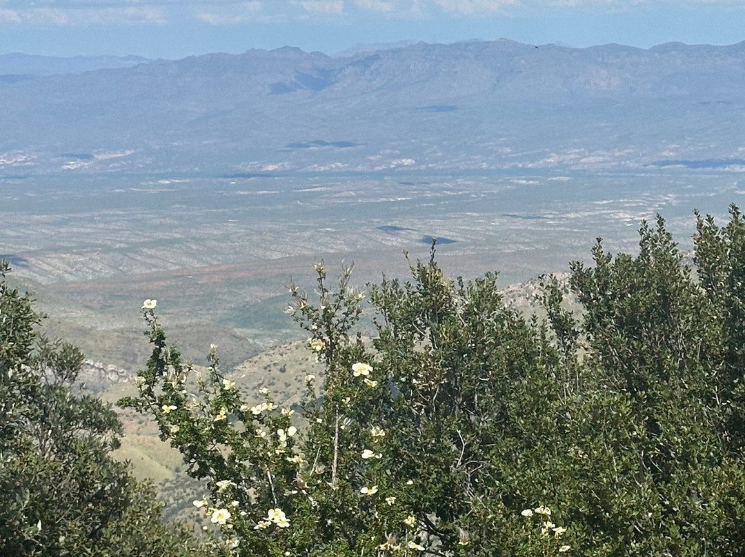 Mt. Lemmon Scenic Byway-图森必去景点
