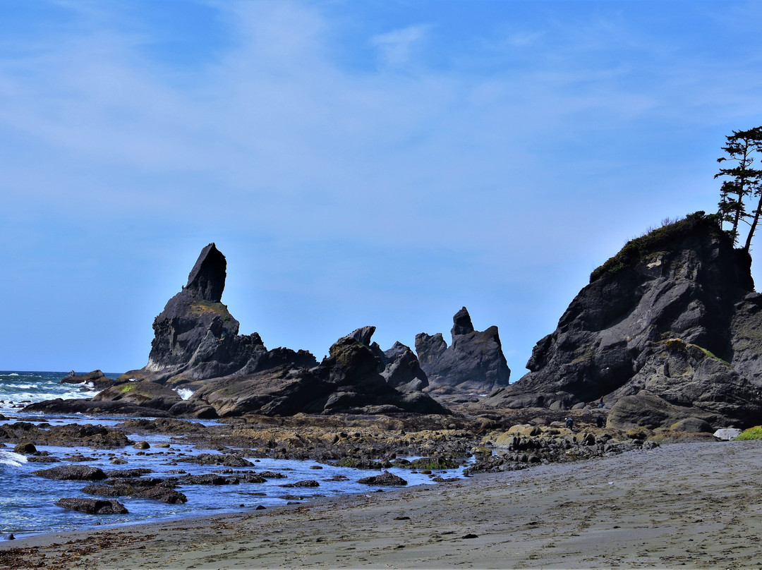Shi Shi Beach-Clallam Bay必去景点