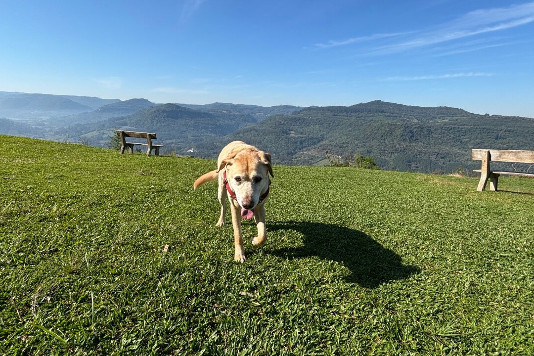 Morro do Vento-Picada Cafe必去景点