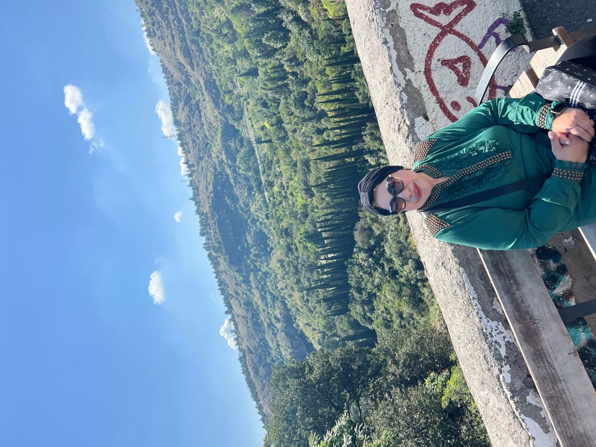 巴统温德姆酒店-旅行者