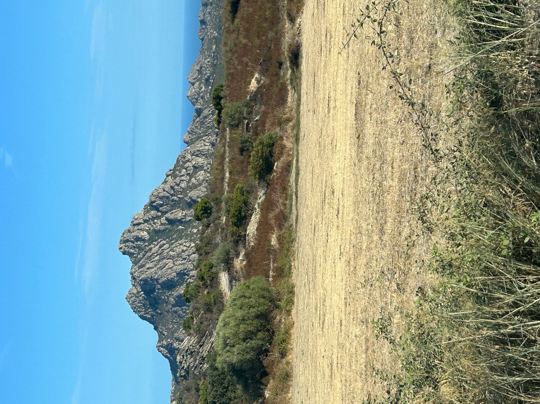Saleccia Off Road-Saint Florent必去景点