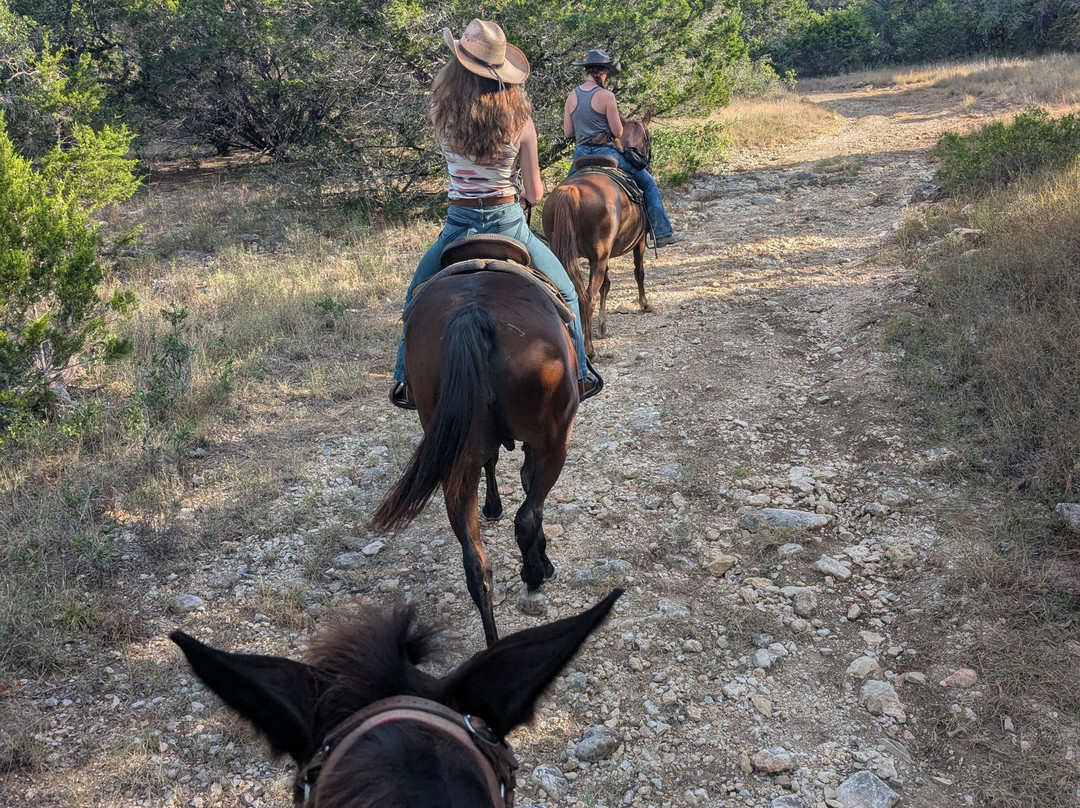 Bandera Historical Rides-Bandera必去景点
