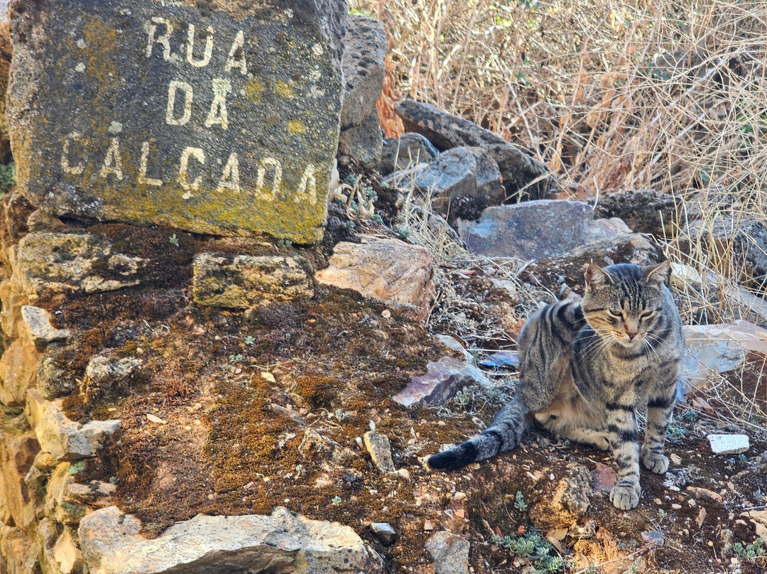 Aldeia Histórica de Castelo Rodrigo-Castelo Rodrigo必去景点